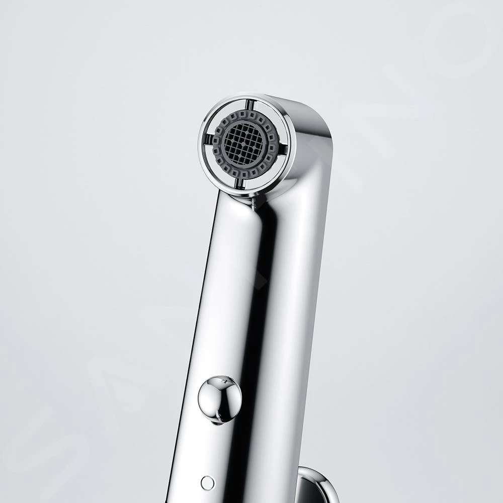 Franke Lift - Mitigeur d'évier FW 1668.031 avec douchette extractible, chrome 115.0621.668