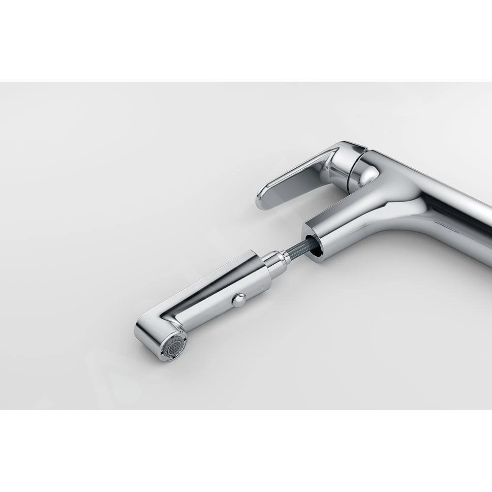 Franke Lift - Mitigeur d'évier FW 1668.031 avec douchette extractible, chrome 115.0621.668